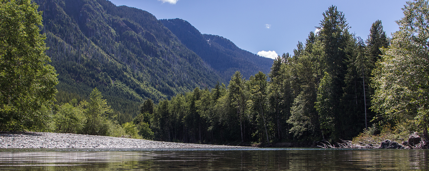 sustainability-banner